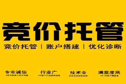 搜索引擎营销：sem竞价账户运营实战案例