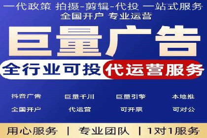 行业领先的SEM投放效果案例解析